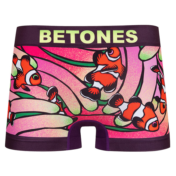 SEE BEE PURPLE (Men)